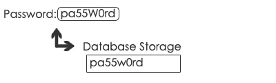 Password Storage Plain Text